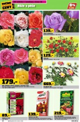 OBI letn katalog 1.st, strana 10 